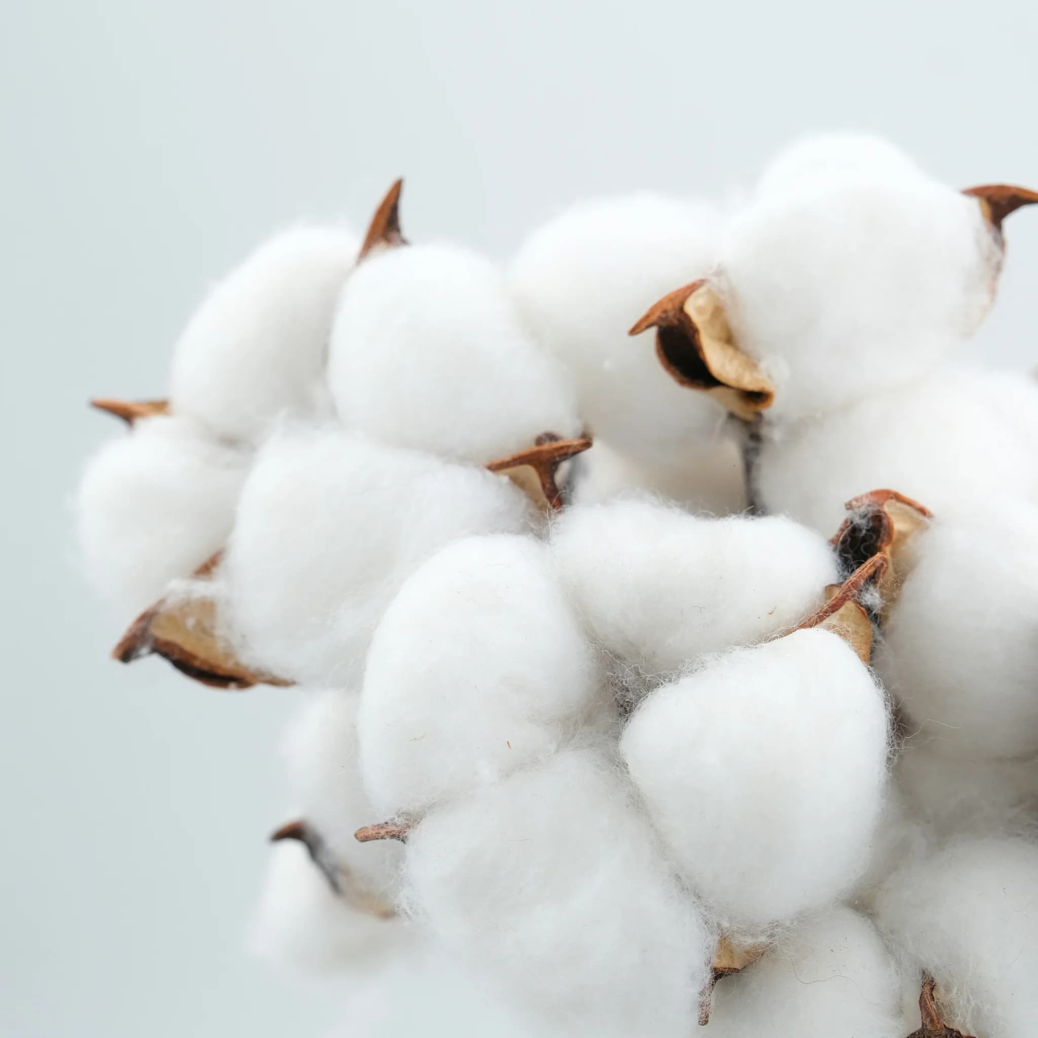 Premium Reinforced Cotton (OEKO-TEX Standard 100)